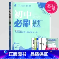 历史 九年级下 人教版 [正版]2024新版初中必刷题九年级上册下册数学英语化学物理九下人教版苏科版苏教版沪教江苏初三必