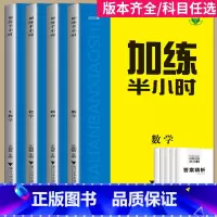 语文 基础巩固 全国通用 [正版]2025新版加练半小时化学语文英语数学历史政治地理生物物理高中一轮复习资料高二高三高考