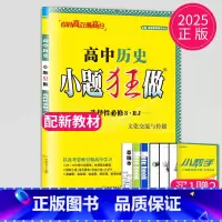 历史 选择性必修3 人教版 高中二年级 [正版]2024版高一高二小题狂做高中数学物理化学生物语文地理历史政治英语必修一