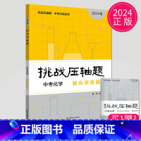 中考化学 强化训练篇 初中通用 [正版]2025挑战压轴题七八九年级数学物理化学中考数学中考物理中考化学难题解析压轴题精