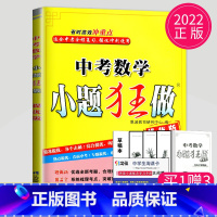 小题狂做 中考数学 [正版]恩波2024年江苏13大市中考试卷与标准模拟数学模拟测试卷练习册初三优化38套江苏省十三市中