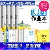 语数英物 九年级下 南通专用 九年级/初中三年级 [正版]2024课时作业本九年级下册上册数学语文英语物理化学九下全套人
