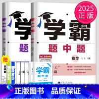 数学英语 七年级上册 江苏专用(除南通) 七年级/初中一年级 [正版]2024学霸题中题七年级上册下册数学英语苏科版译林