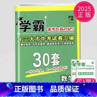 [正版]备考2025锁定中考学霸江苏中考试卷汇编30套数学中考卷模拟试卷辅导书练习册精选历年真题13中学教辅初三江苏省十