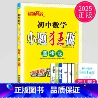 数学 九年级上 [正版]2025初中数学小题狂做巅峰版九年级上册数学九上苏科版SK苏教版中学教辅江苏9年级上数学同步训练