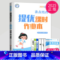 英语 小学四年级 [正版]2025亮点给力提优课时作业本四年级下册英语四下译林版YL江苏小学4年级下学期同步训练课时练练
