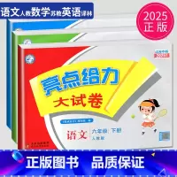 语数英3本套装 江苏专用 小学六年级 [正版]2025新版亮点给力大试卷六年级下册语文数学英语六下全套人教版RJ苏教版S