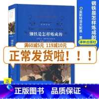 [正版]经典译林钢铁是怎样炼成的 初中小学生青少年世界经典课外名著书籍外国文学小说励志经典 精装版作品诗集 青世界文学名