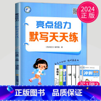 英语默写天天练六年级上 小学六年级 [正版]2025春新版亮点给力计算天天练六年级上下册数学苏教版SJ江苏小学6年级上学