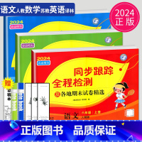 [正版]2024同步跟踪全程检测及各地期末试卷精选六年级上册语文数学英语六上人教版苏教版译林版江苏小学6年级上学期同步亮