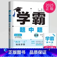 化学 九年级下 鲁教版 九年级/初中三年级 [正版]2025学霸题中题九年级下册上册数学物理英语化学苏科版译林版苏教人教