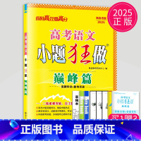 语文 新高考版 [正版]2025恩波教育高考语文数学英语物理化学政治历史小题狂做巅峰篇 高三二轮三轮总复习冲刺模拟试卷教