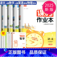 语数英物 九年级下 南通专用 九年级/初中三年级 [正版]2025春课时作业本九年级上下册数学人教版通城学典中学教辅南通