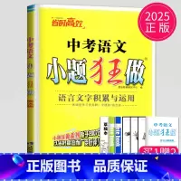 [正版]2025版中考语文小题狂做提优版初三练习册9九年级中考总复习语言文字积累与运用语文专题突破滚动强化提优训练答案小