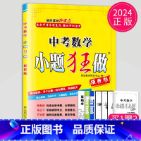 [正版]2024版恩波教育中考数学小题狂做提优版初三中考数学总复习专题突破9年级滚动强化提优练习册辅导书答案解析小题狂练