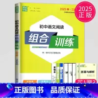 [正版]2025版初中语文阅读组合训练中考版人教江苏中学教辅9年级苏教同步练习册初三总复习九年级教辅资料古诗词文言文现代