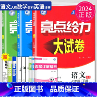 [正版]2024版亮点给力大试卷七年级下册语文数学英语七下全套人教版RJ苏教版SJ译林YL江苏初一下学期7年级同步跟踪检