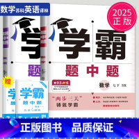 数学英语2本套装 江苏专用(除南通) 七年级/初中一年级 [正版]2025学霸题中题七年级下册数学英语七下全套试卷苏科版