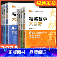 精英大视野数学 九年级/初中三年级 [正版]2024版精英数学大视野物理化学七八九年级黄东坡数物化解题技巧新方法789上