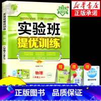 物理[人教版] 九年级下 [正版]实验班提优训练八年级九年级上册下册物理人教版教科版沪粤版沪科版苏科版 初二初三同步练习
