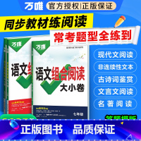 语文组合阅读大小卷 九年级 [正版]新书2025万唯初中语文组合阅读大小卷初一初二初三789年级阅读理解专项组合训练测试