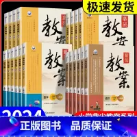 数学[北师版] 六年级上 [正版]鼎尖教案一二三四五六年级上册下册语文数学英语科学道德与法治体育全套人教版北师大江苏小学