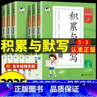 [3本]积累与默写+阅读理解+同步作文 六年级下 [正版]2025新版53小学基础题语文积累与默写一二三年级四五年级六年
