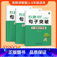 句子套装]句式训练+优美句子+句子衔接 [正版]易蓓小学语文字词句语法突破专项100训练一二三四五六年级人教版易错字成语