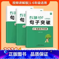 句子套装]句式训练+优美句子+句子衔接 [正版]易蓓小学语文字词句语法突破专项100训练一二三四五六年级人教版易错字成语