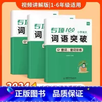 [词语套装]成语+近反义词+叠词量词 [正版]易蓓小学语文字词句语法突破专项100训练一二三四五六年级人教版易错字成语句