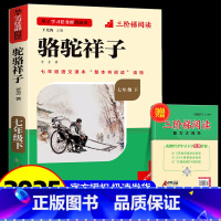 [全国版]7年级[骆驼祥子]下册 [正版]骆驼祥子和钢铁是怎样练成的书原著七年级下册必读书目人民教育出版社名著课外书初中
