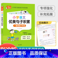 小学语文优美句子 小学通用 [正版]小学语文优美句子积累大全作文素材好词好句好段积累小学生二年级三年级三至六3-6年级语