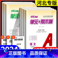 [安徽版]期末真题卷数学[沪科] 七年级下 [正版]河北专版名校课堂 单元+期末卷七八年级上下册初中语文数学英语物理历史