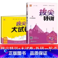 2册[拔尖特训+拔尖大试卷]外研版(一起) 五年级下 [正版]2025春拔尖特训英语外研版一年级起点英语练习册外研社小学