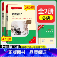 [七下必读]骆驼祥子+海底两万里(赠名著导练) 初中通用 [正版]初中必读名著骆驼祥子和钢铁是怎样练成的原著七八九年级下
