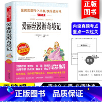 爱丽丝漫游奇遇记 [正版]爱丽丝漫游奇境记书原著版六年级下册必读的课外书小学生书目阅读书籍6下学期天地出版社爱丽丝梦游仙