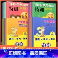 英语 六年级下 [正版]小学科学课时+单元+期末特训一二三四五六年级上下册可选教科版小学生课堂同步训练课时作业本单元12