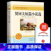 [配套]契诃夫短篇小说选 [正版]书籍 简爱和儒林外史全2册原著完整版九年级下册必读书无删减初三初中学生课外书阅读读物经