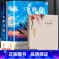 飞鸟集+新月集+海子诗集[3册] [正版]飞鸟集泰戈尔诗选双语全2册 飞鸟集+新月集英汉对照双语版 生如夏花泰戈尔诗选诗