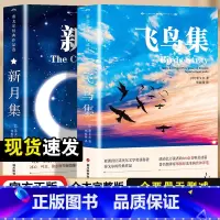 飞鸟集+新月集[中英双语版] [正版]飞鸟集泰戈尔诗选双语全2册 飞鸟集+新月集英汉对照双语版 生如夏花泰戈尔诗选诗集初