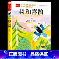 [单本]树和喜鹊(春天卷) [正版]金波四季童话美文注音版全套4册 雨点儿 阳光 树和喜鹊 沙滩上的童话 一年级阅读课外