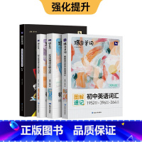 [强化提升]语法讲练+单词书+默写本 初中通用 [正版]2024新版蝶变初中英语语法全解与专练2本套装 中考英语语法大全