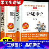 [配套人教版]骆驼祥子+钢铁是怎样炼成的 [正版]骆驼祥子和钢铁是怎样炼成的原著完整版七年级必读名著老舍初一下册课外书初