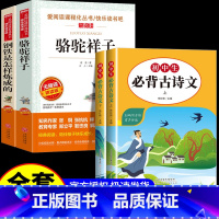 [配套人教版4册]骆驼祥子+钢铁+初中古诗文 [正版]骆驼祥子和钢铁是怎样炼成的原著完整版七年级必读名著老舍初一下册课外