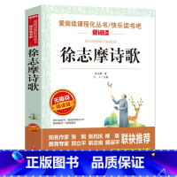徐志摩诗歌 [正版]徐志摩诗歌 初中必读课外阅读书籍 小升初六年级七年级八年级老师初中生适合看的课外书名著现当代诗歌作品