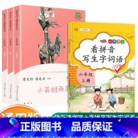 [六/上册]全套+看拼音写生字词语(共四本) [正版]快乐读书吧六年级上册全套任选 爱的教育 童年 小英雄雨来 人教版