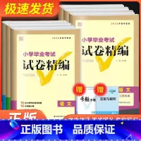 [共3本]语文+数学+英语 通用版 小学升初中 [正版]通城学典小学毕业考试试卷精编小升初系统总复习卷子语文数学英语真题