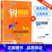 六年级 小学通用 [正版]锐阅读小学生阅读真题80篇一年级二年级三年级四年级五年级六年级阅读理解训练题人教版每日一练语文