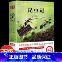昆虫记 [正版]法布尔原著完整版昆虫记全集小学生三四年级下册 朱月玲课外书导读彩图美绘版人民儿童文学阅读书籍老师江西美术