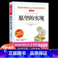 愿望的视线 [正版]愿望的实现 二年级下册课外书 爱阅读课程化丛书 小学生二三四五年级课外阅读书籍书目 快乐读书吧二年级